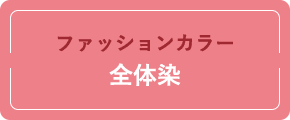 ファッションカラー 全体染