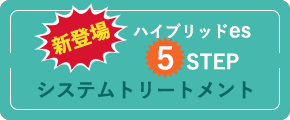 ハイブリットes 5STEP システムトリートメント
