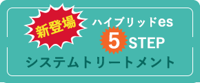 ハイブリットes 5STEP システムトリートメント